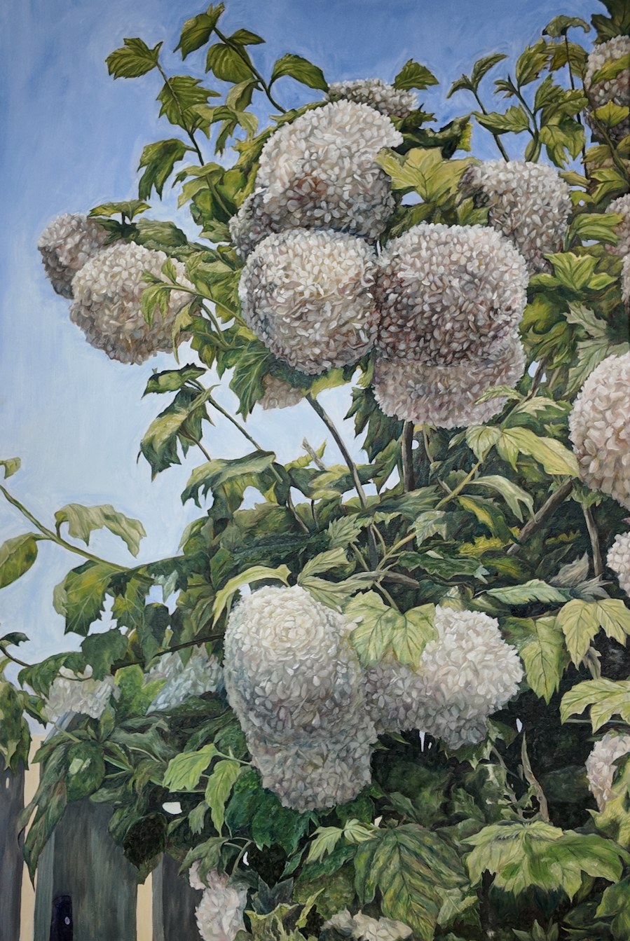 White hydrangea blooms reaching upward on leafy stems into a soft blue summer sky.