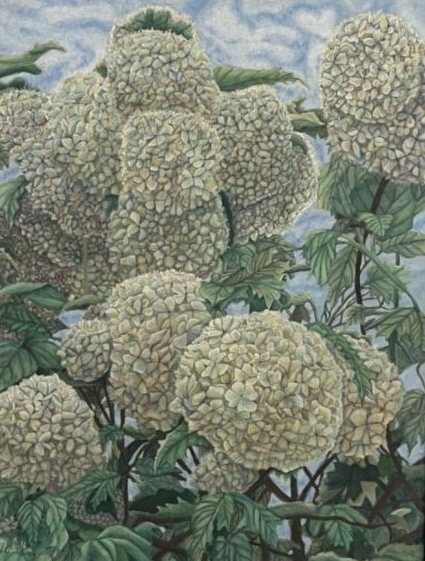 Heavy cream hydrangea heads crowding the canvas against a pale marbled sky.